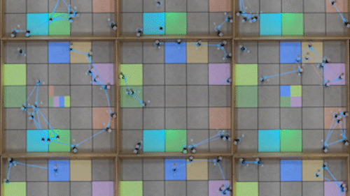 Secure and secret cooperation in robot swarms